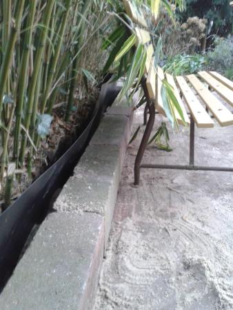 Bamboeborder-voorzijde