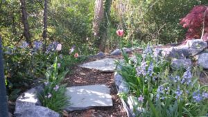 ecologische tuin -tulp, hyacint trap met schors