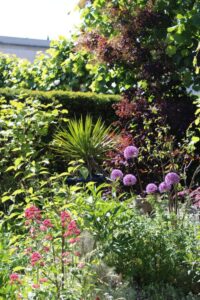 ecologische tuin – rode valeriaan en sierui