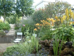 ecologische tuin – Lelies en ligularia